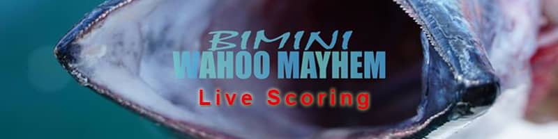 bimini wahoo live scoring | live scoring! | meat mayhem tournaments